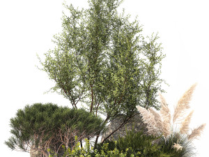 Alpine Slide Of Pine Tipiar Bush Pampas Grass 1217 Modelo 3D