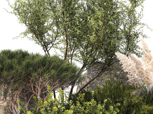 Alpine Slide Of Pine Tipiar Bush Pampas Grass 1217 Modelo 3D