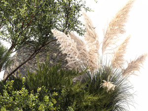 Alpine Slide Of Pine Tipiar Bush Pampas Grass 1217 Modelo 3D