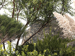 Alpine Slide Of Pine Tipiar Bush Pampas Grass 1217 Modelo 3D