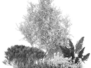 Alpine Slide Of Pine Tipiar Bush Pampas Grass 1217 Modelo 3D