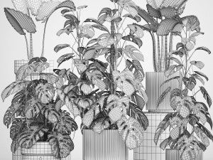 Plants for decoration in pots of monstera and alocasia 1218 3Dモデル