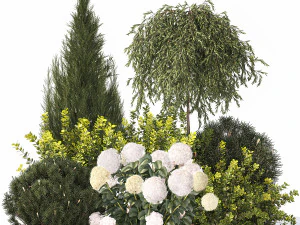 Alpine Hill com hort&ecirc;nsia Thuja e arbusto de b&eacute;rberis 1219 Modelo 3D