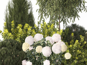 Alpine Hill With Thuja Hydrangea And Barberry Bush 1219 3D 모델