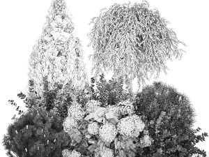 Alpine Hill With Thuja Hydrangea And Barberry Bush 1219 3D 모델