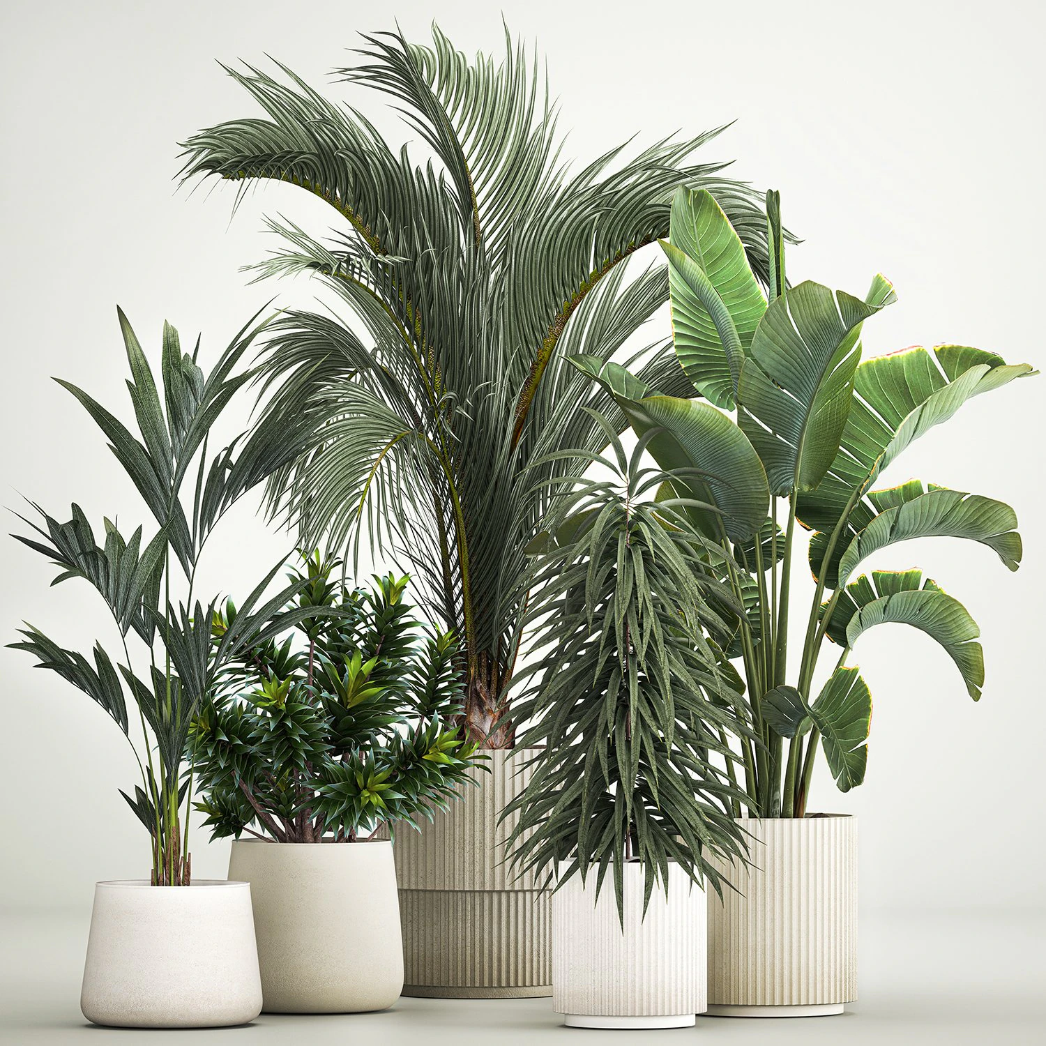 Set of plants in pots Strelitzia palm and Dracaena 1223 3D Model .c4d .max .obj .3ds .fbx .stl .blend