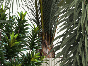 Set of plants in pots Strelitzia palm and Dracaena 1223 3D Model