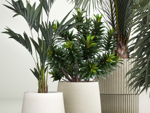 Set of plants in pots Strelitzia palm and Dracaena 1223 3D Model
