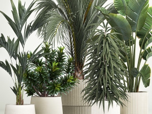 Set of plants in pots Strelitzia palm and Dracaena 1223 3D Model