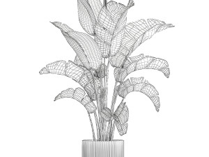 Strelitzia and Ravenala palm bush in a flower pot 1224 Modello 3D