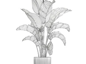 Strelitzia and Ravenala palm bush in a flower pot 1224 3D Model