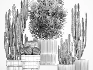 Barrel cactus Cereus cactus set in flowerpots 1228 3D Model