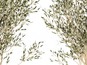 Beautiful Olive Trees In Flower Pots For Interior 1229 3D Model