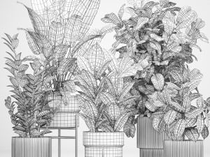 Plants In Flower Pots Ficus Strelitzia Zamioculcas 1230 3D-Modell