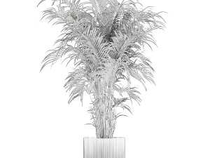 Beautiful palm tree in a flower pot for interior decor 1231 3Dモデル