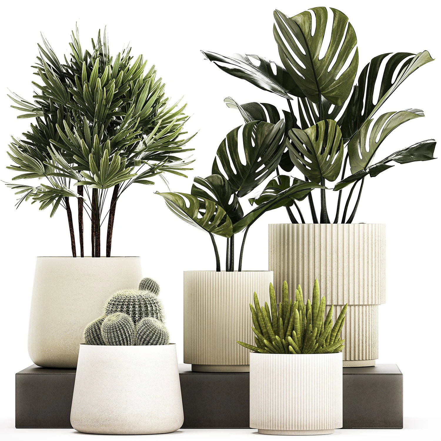 Set Of Potted Plants Monstera Cactus Palm 1236 3D Model .c4d .max .obj .3ds .fbx .stl .blend 