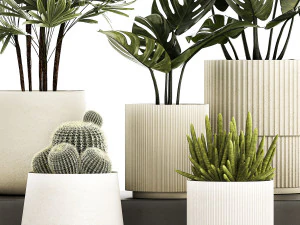 Set Of Potted Plants Monstera Cactus Palm 1236 3D Model