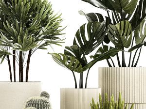 Set Of Potted Plants Monstera Cactus Palm 1236 Modelo 3D
