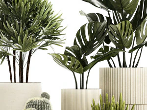 Set Of Potted Plants Monstera Cactus Palm 1236 3D Model