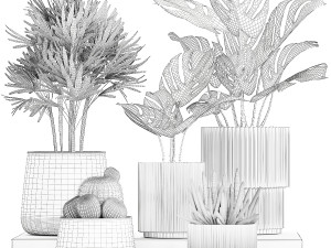 Set Of Potted Plants Monstera Cactus Palm 1236 Modelo 3D