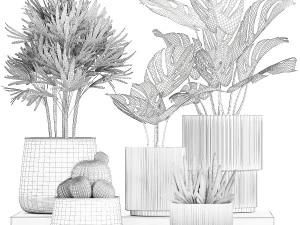 Set Of Potted Plants Monstera Cactus Palm 1236 3D Model