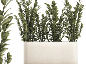 Ozdobny krzew Zamioculcas w doniczce 1237 Model 3D