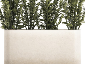 Decorative bush Zamioculcas in a flower pot 1237 3D 모델