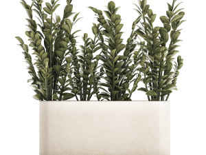 Decorative bush Zamioculcas in a flower pot 1237 3D 모델