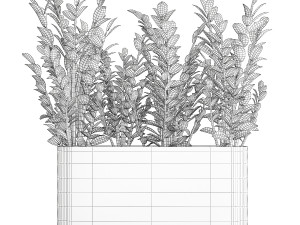 Decorative bush Zamioculcas in a flower pot 1237 3D 모델