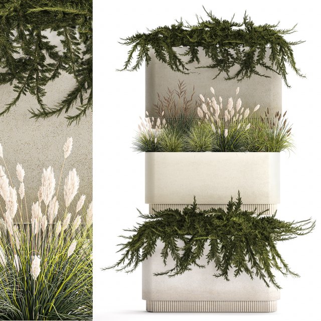 Flower Pot With Juniper Bushes And Feather Grass 1238 3D 模型 .c4d .max .obj .3ds .fbx .stl .blend 