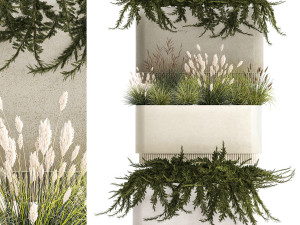 Flower Pot With Juniper Bushes And Feather Grass 1238 3D Model