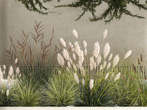 Flower Pot With Juniper Bushes And Feather Grass 1238 3D 模型