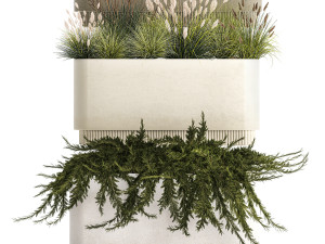 Flower Pot With Juniper Bushes And Feather Grass 1238 3D 模型