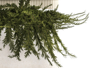Flower Pot With Juniper Bushes And Feather Grass 1238 3D 模型