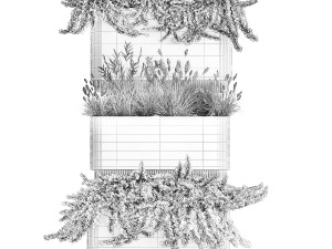 Flower Pot With Juniper Bushes And Feather Grass 1238 3D 模型