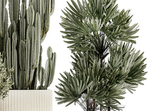 Beautiful Cereus and Olive plant in a flower pot 1248 Modelo 3D