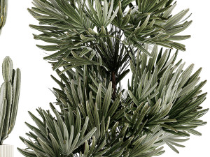 Beautiful Cereus and Olive plant in a flower pot 1248 Modelo 3D