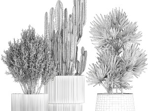 Beautiful Cereus and Olive plant in a flower pot 1248 Modelo 3D