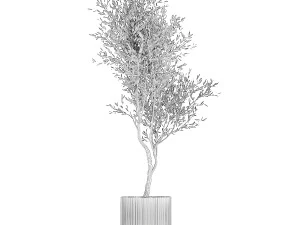 Beautiful Olive tree in a flower pot for decoration 1249 3D Model