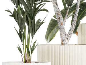 Beautiful Strelitzia Bamboo plants in flower pots 1250 3D 模型