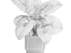 Linda planta ornamental em vaso de flores Alocasia 1253 Modelo 3D
