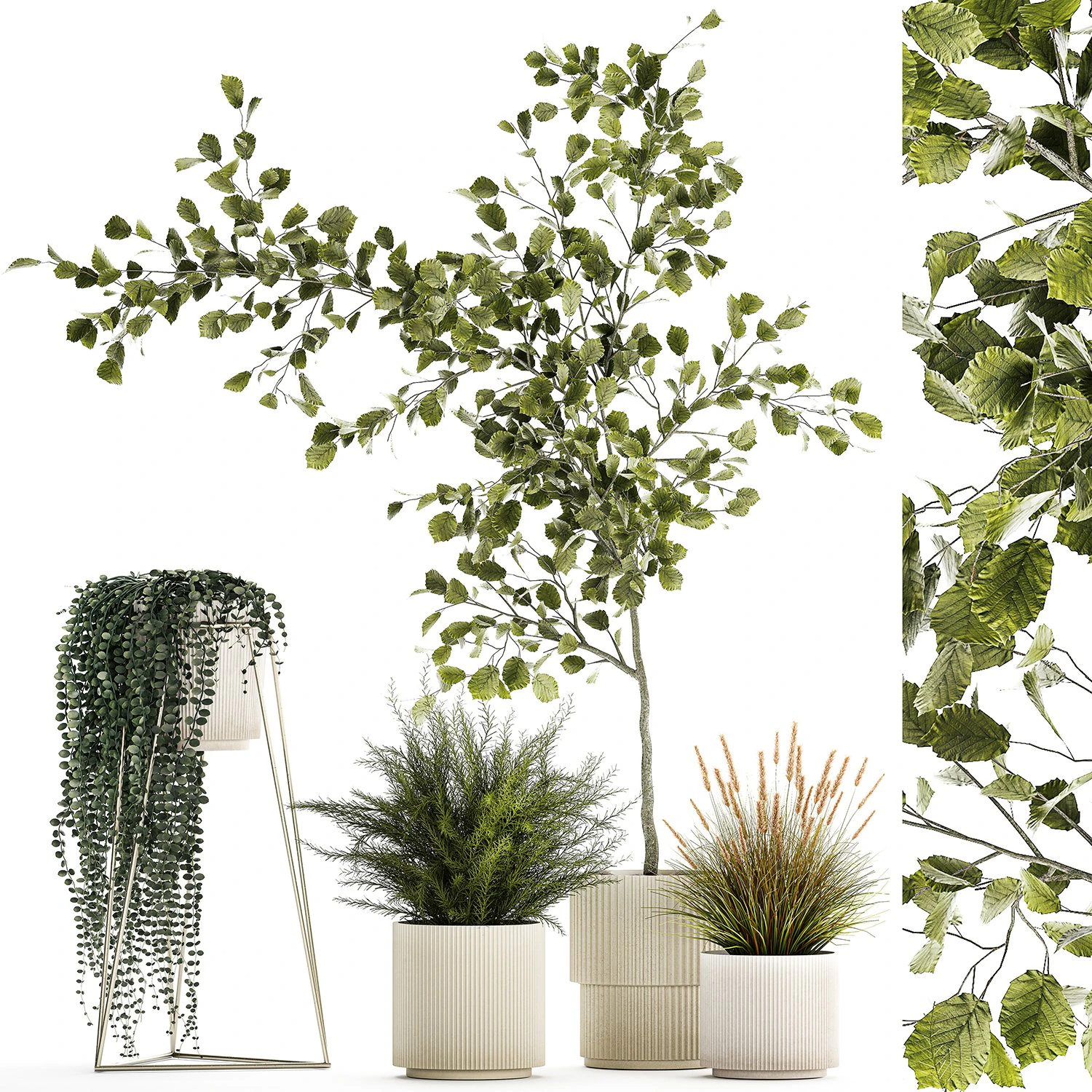 Beautiful tree and plants for the interior in pots 1254 3D Model .c4d .max .obj .3ds .fbx .stl .blend