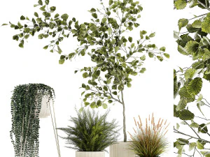Bel arbre et plantes pour l'intérieur en pot 1254 Modèle 3D