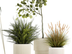 Beautiful tree and plants for the interior in pots 1254 3D Модель