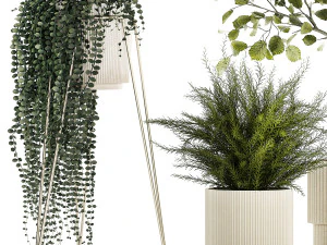 Beautiful tree and plants for the interior in pots 1254 3D Model