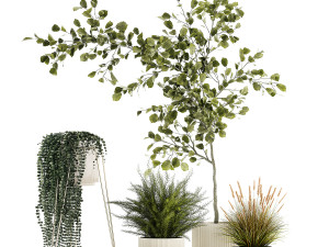 Beautiful tree and plants for the interior in pots 1254 3D Модель