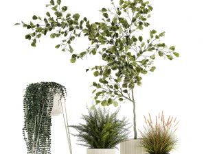 Beautiful tree and plants for the interior in pots 1254 3D Model