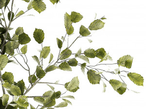 Beautiful tree and plants for the interior in pots 1254 3D Модель