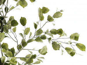 Beautiful tree and plants for the interior in pots 1254 3D Model