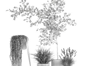 Beautiful tree and plants for the interior in pots 1254 3D Модель